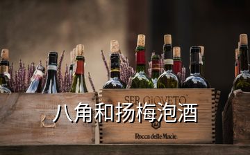 八角和揚梅泡酒