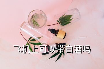 飛機上可以帶白酒嗎