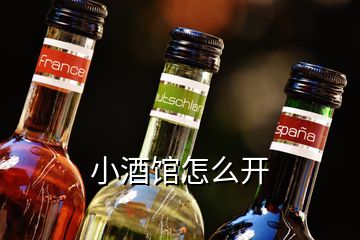 小酒館怎么開