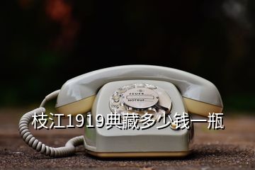 枝江1919典藏多少錢一瓶