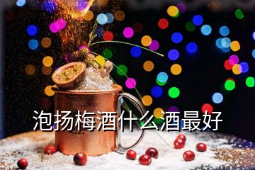 泡揚(yáng)梅酒什么酒最好