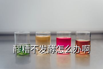 醪糟不發(fā)酵怎么辦啊