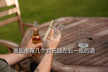 誰能推薦幾個30元錢左右一瓶的酒