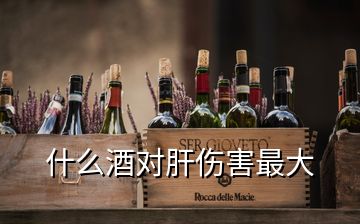 什么酒對(duì)肝傷害最大