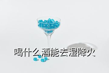 喝什么酒能去濕降火