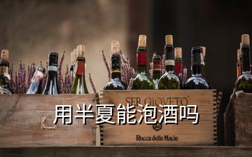 用半夏能泡酒嗎