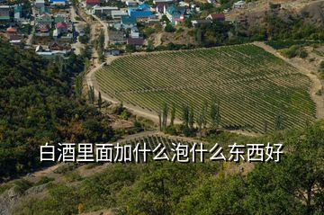 白酒里面加什么泡什么東西好