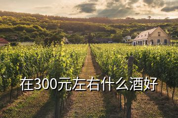 在300元左右什么酒好