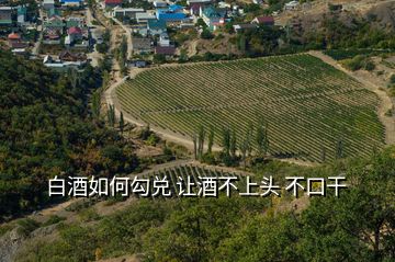 白酒如何勾兌 讓酒不上頭 不口干