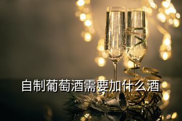 自制葡萄酒需要加什么酒