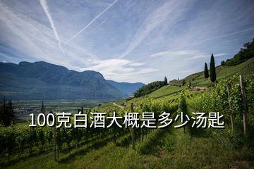 100克白酒大概是多少湯匙