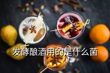 發(fā)酵釀酒用的是什么菌