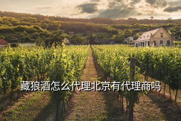 藏狼酒怎么代理北京有代理商嗎