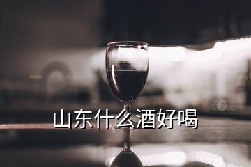 山東什么酒好喝