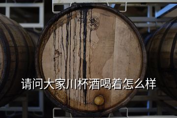 請(qǐng)問大家川杯酒喝著怎么樣