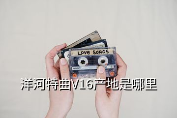 洋河特曲V16產(chǎn)地是哪里