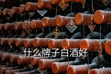 什么牌子白酒好