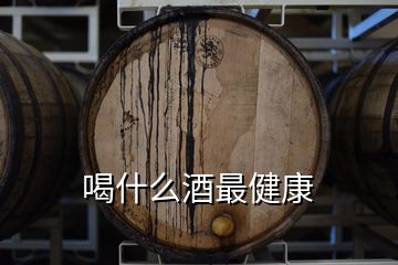 喝什么酒最健康