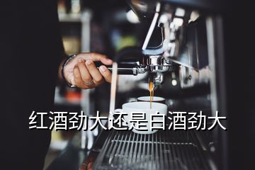 紅酒勁大還是白酒勁大