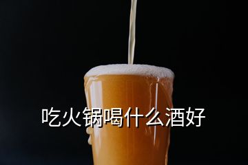 吃火鍋喝什么酒好