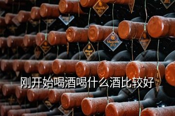 剛開始喝酒喝什么酒比較好