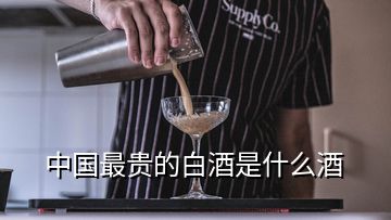 中國最貴的白酒是什么酒