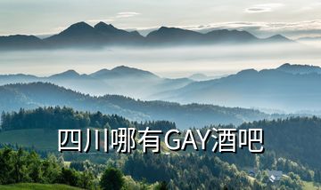 四川哪有GAY酒吧