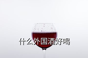 什么外國(guó)酒好喝