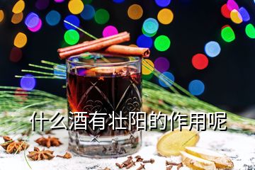 什么酒有壯陽(yáng)的作用呢