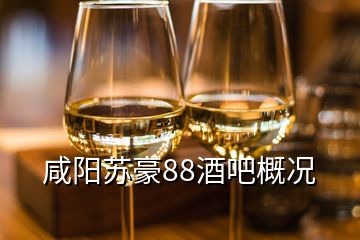 咸陽蘇豪88酒吧概況