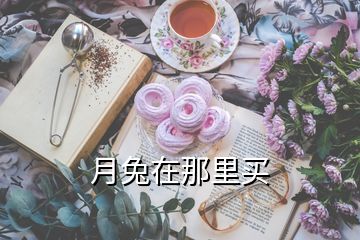 月兔在那里買(mǎi)