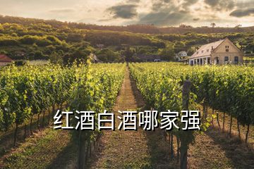 紅酒白酒哪家強(qiáng)