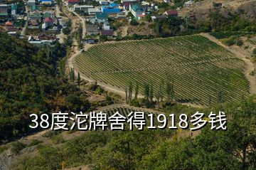 38度沱牌舍得1918多錢