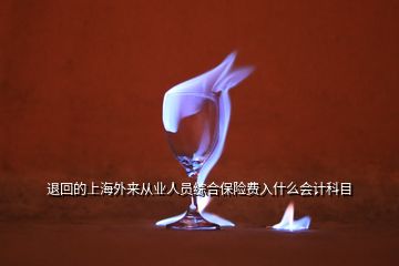 退回的上海外來從業(yè)人員綜合保險費入什么會計科目