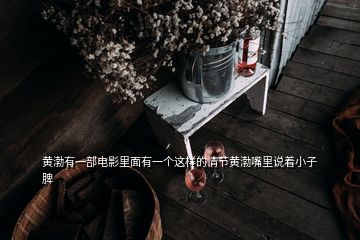 黃渤有一部電影里面有一個這樣的情節(jié)黃渤嘴里說著小子脾