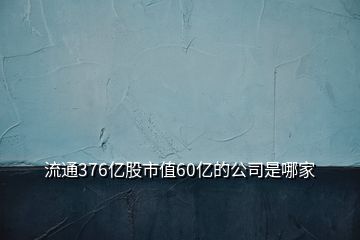 流通376億股市值60億的公司是哪家