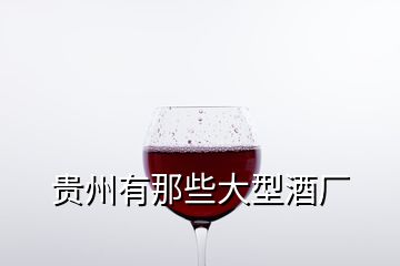 貴州有那些大型酒廠