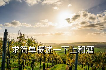 求簡單概述一下上和酒