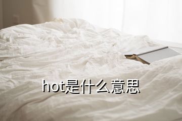 hot是什么意思