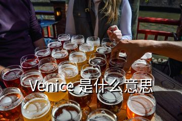 Venice 是什么意思