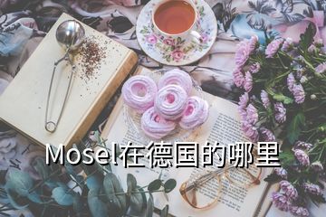 Mosel在德國(guó)的哪里