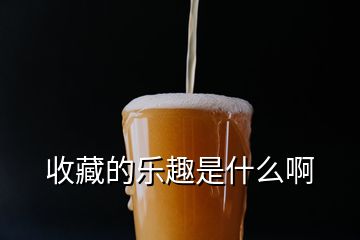 收藏的樂(lè)趣是什么啊