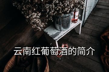 云南紅葡萄酒的簡(jiǎn)介