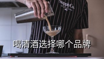 喝清酒選擇哪個品牌