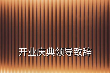 開業(yè)慶典領導致辭