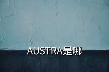 AUSTRA是哪