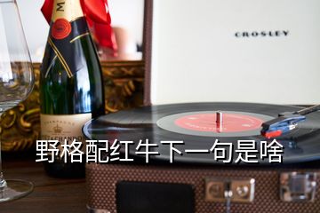 野格配紅牛下一句是啥