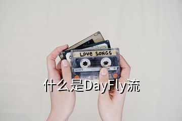 什么是DayFly流