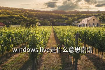 windows live是什么意思謝謝