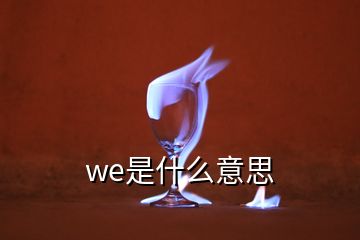 we是什么意思